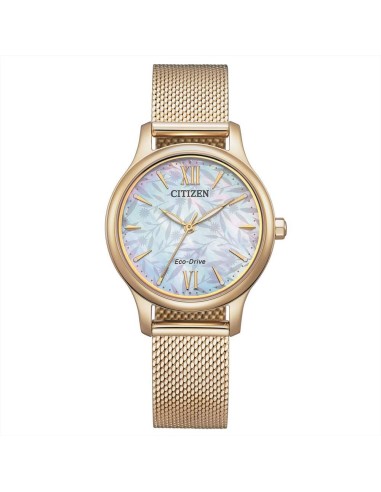 Orologio Citizen Lady EM0892-80D