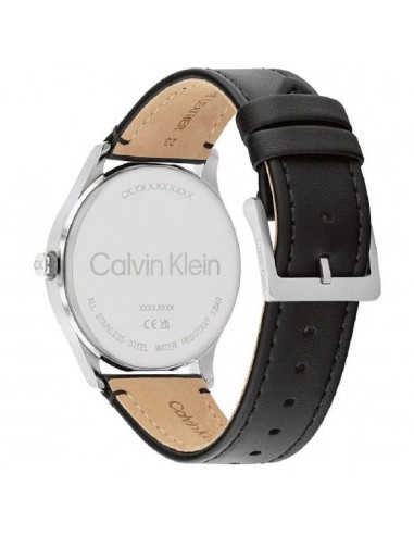 Orologio Calvin Klein Ascend 25200454