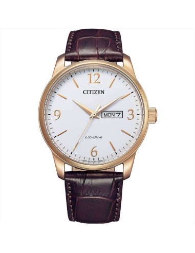 Orologio Citizen Eco Drive BM8553-16A