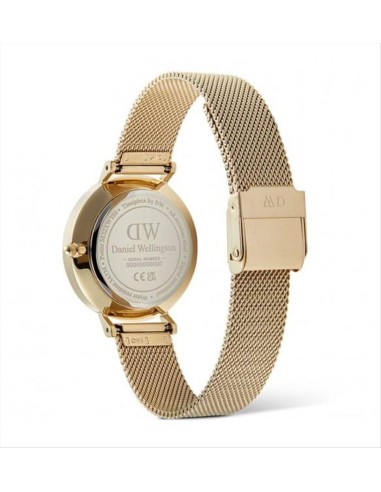 Orologio Daniel Wellington Petite Lune DW00100771