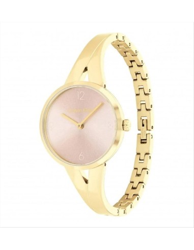 Orologio Calvin Klein Joyful 25100027