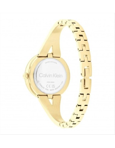Orologio Calvin Klein Joyful 25100027