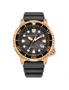 Orologio Citizen Promaster Diver's Eco Drive 200 mt BN0163-00H