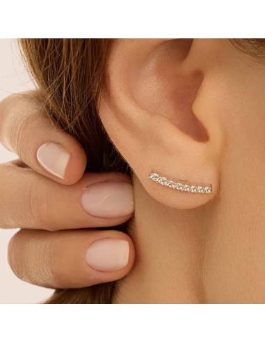 Orecchini Stroili Silver Elegance 1697690