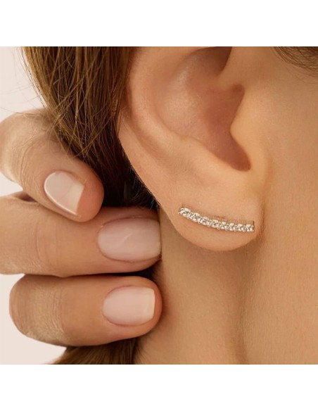 Orecchini Stroili Silver Elegance 1697690