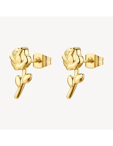 Orecchini Brosway Chakra BHKE199