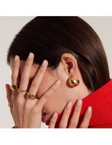 Orecchini Breil Hoop TJ3529